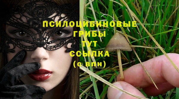 COCAINE Алексеевка