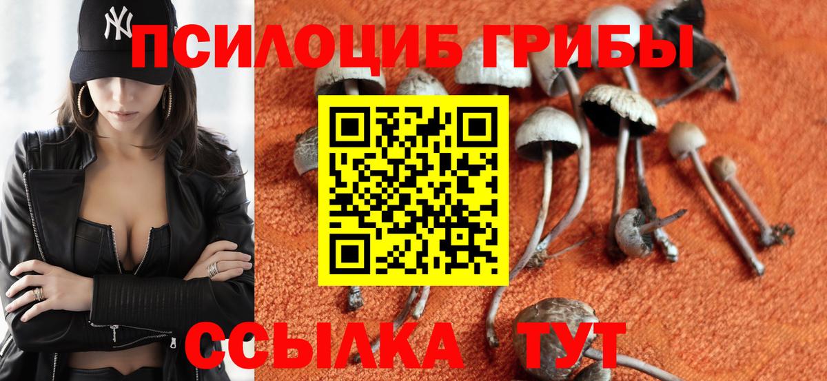 Галлюциногенные грибы Psilocybe  Вход с VPN  Нарьян-Мар 
